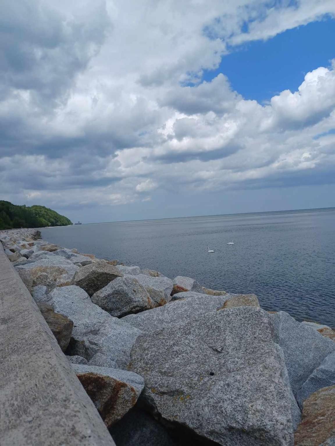 Domek Holenderski, Ogrod, Blisko Plazy, Gdynia Wakacje Na Luzie المظهر الخارجي الصورة